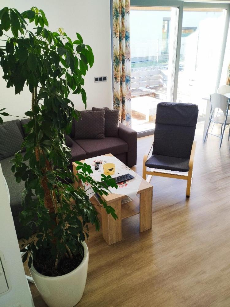 Apartman Dasa Frymburk Eksteriør billede