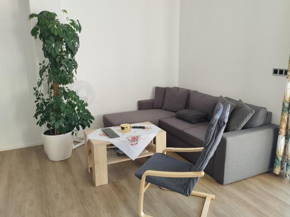 Apartman Dasa Frymburk Eksteriør billede